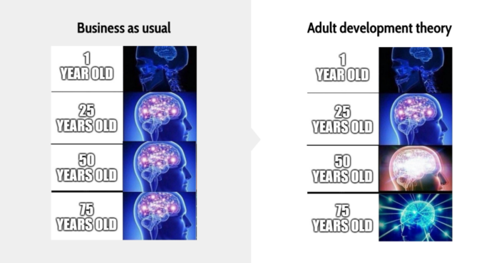 Adult Development Theory illustration showing brains evolving through the human life