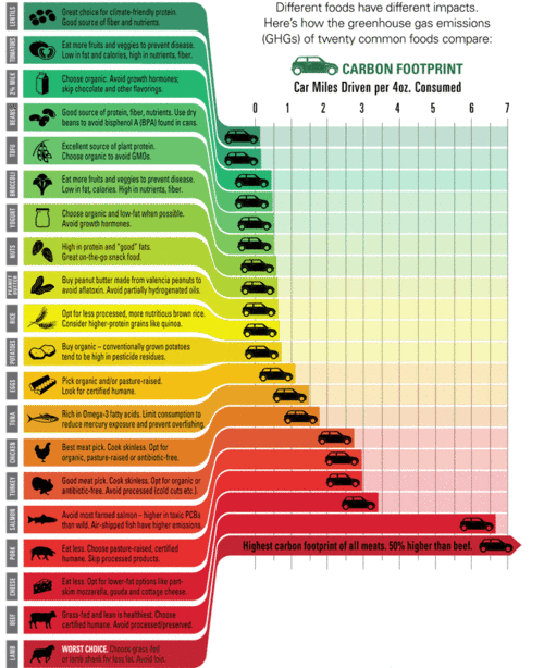 Carbon footprint of what you eat! This is the #2 reason im a ...