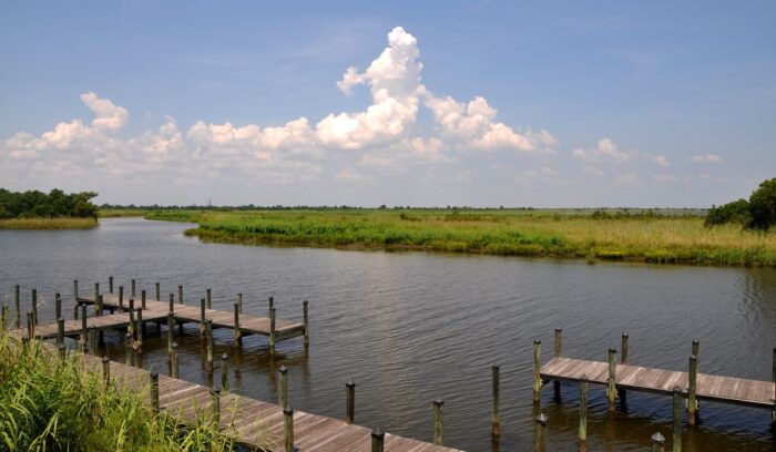 5 River Delta Resource Center, for article on Mobile-Tensaw Delta conservation