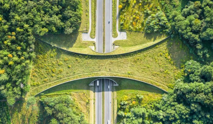 Aerial top down view of ecoduct or wildlife crossing