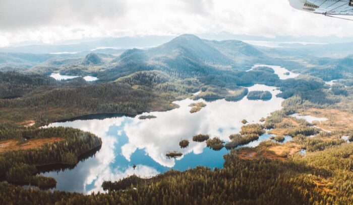 Aerial view of Tongass National Forest, for article on Tongass National Forest roadless rule