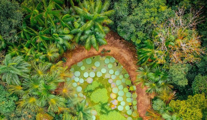Aerial view of clearing in trees, for article on Amazon Fund Brazil