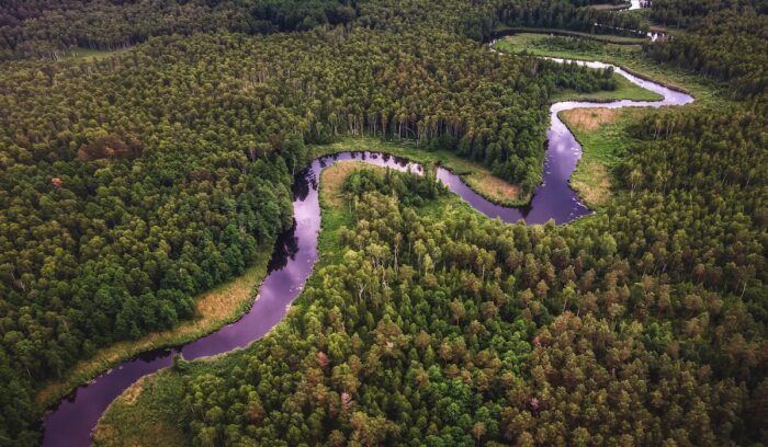 Aerial view of green tress and a river|aftertwoweek