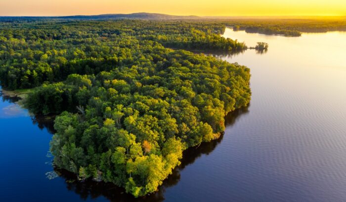 Amazon river