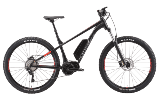 Asambe Electric Bike