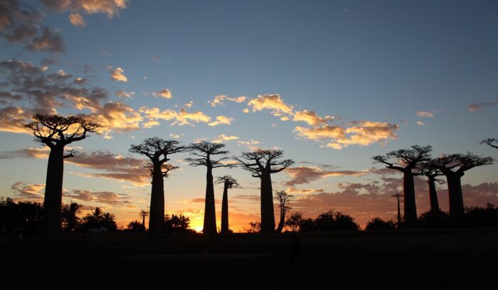 Avenue of the Baobabs, for article on Vazimba kingdoms