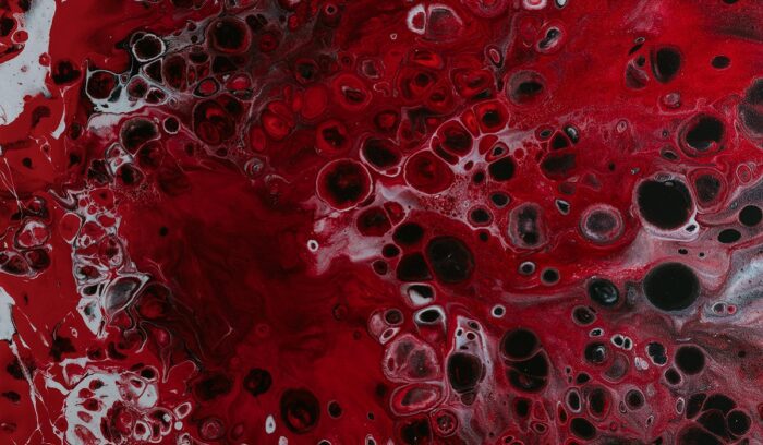 Blood cells under microscope, for article on smart insulin