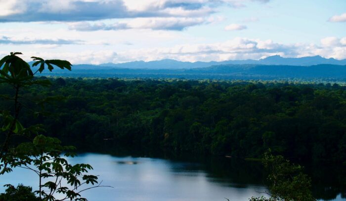 Bolivian rainforest, for article on Amazon rainforest protection
