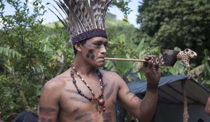 Brazilian Indian Kaingang, for article on Brazil Indigenous representation
