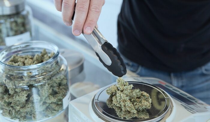 Cannabis being weighed, for article on legal cannabis dispensary