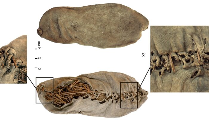 image for article on Fort Rock sandals