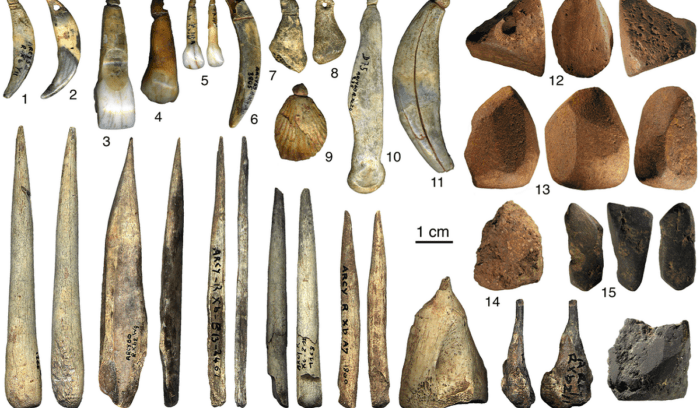 Châtelperronian stone tools (above) and ivory tools and jewellery (below), for article on Châtelperronian tools