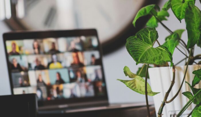 Computer screen showing Zoom meeting with plant in foreground|thomas kvistholt unsplash