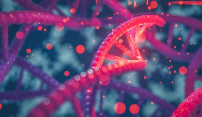 image for article on human genome sequencing