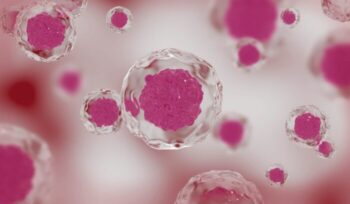 A microscopic illustration of reprogrammed stem cells developing into pancreatic beta cells for an article about stem cell diabetes treatment