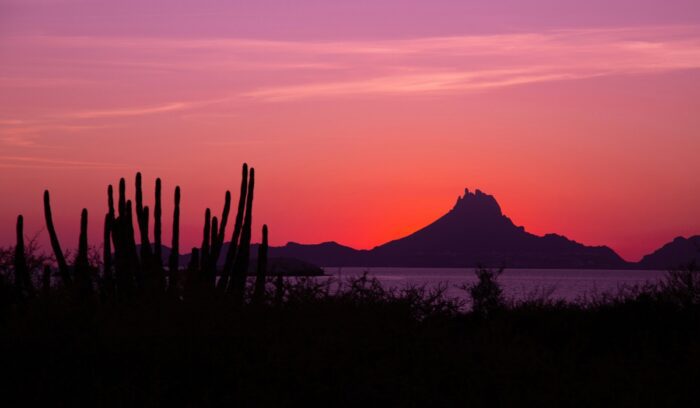 Desert landscape at sunset, for article on Mexico protected areas