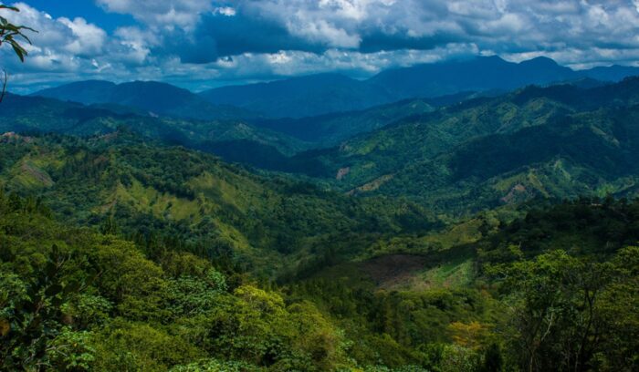 Dominican Republic forested landscape, for article on Plan Yaque land restoration