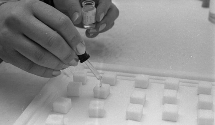 Doses of oral polio vaccine are added to sugar cubes for use in a 1967 vaccination campaign in Bonn, for article on polio vaccine