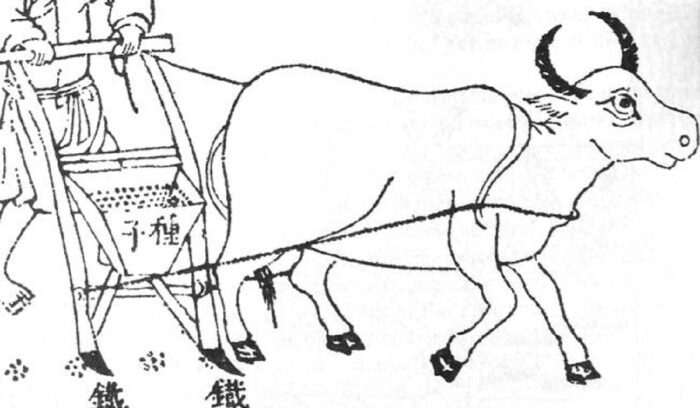 Drawing of Chinese person using double-tube seed drill, for article on Chinese seed drill