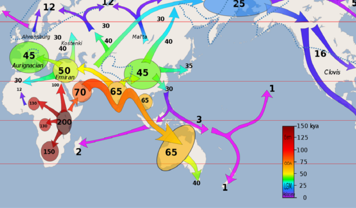 Early human migrations map