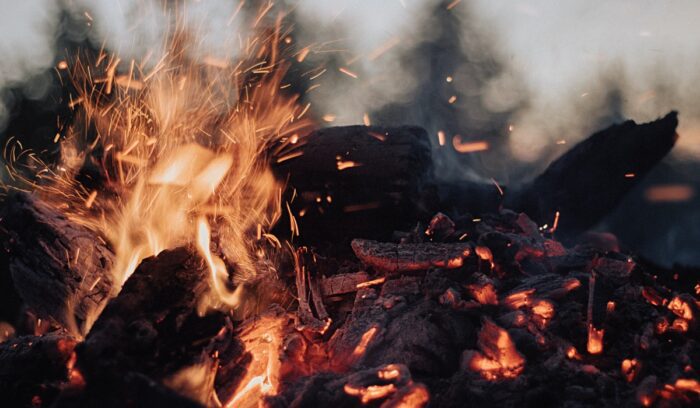 A close-up of glowing embers and open flame in darkness for an article about early human fire use