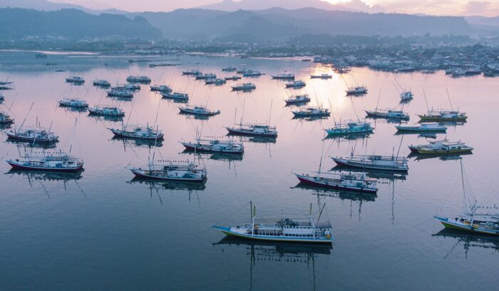 Fishing boats