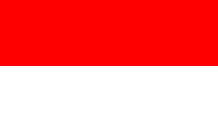 image for article on Indonesia unitary republic