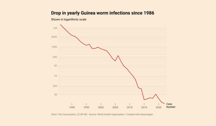 Guinea worm infections bar graph