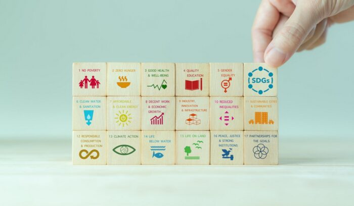 image for article on sustainable development goals