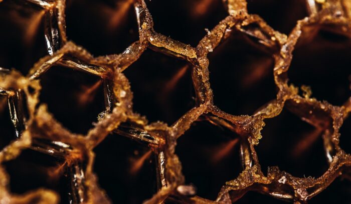 Honeycomb, for article on ancient mead