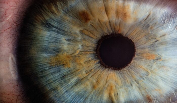 Close-up of a human eye with clear cornea, for an article about stem-cell cornea transplant research in Japan, for article on stem-cell cornea transplant
