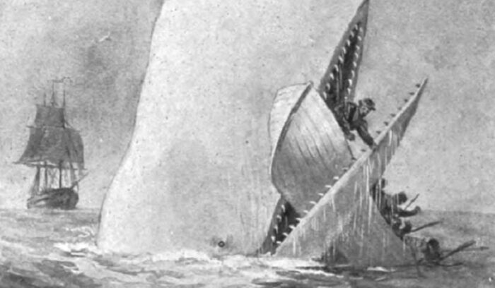 image for article on Moby-Dick publication