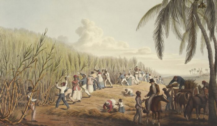 Illustration of slaves working the fields|Cornell University, for article on emancipation proclamation