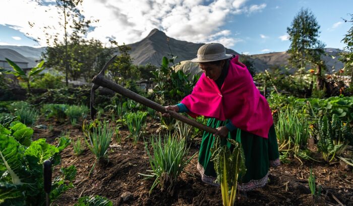 Indigenous woman in Ecuador