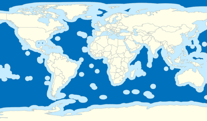 International waters are the areas shown in dark blue in this map, for article on High Seas Treaty