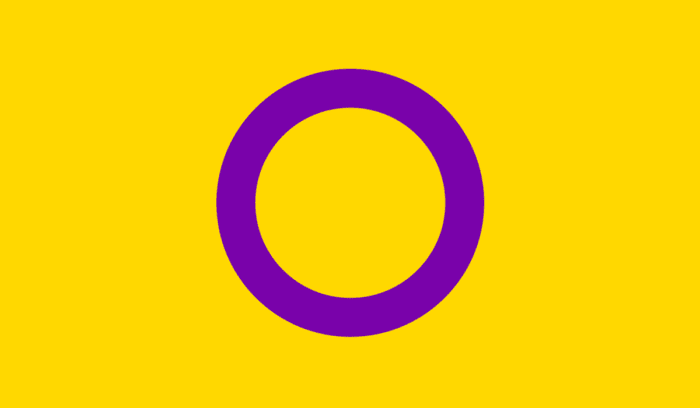 Intersex Pride flag, for article on intersex rights resolution