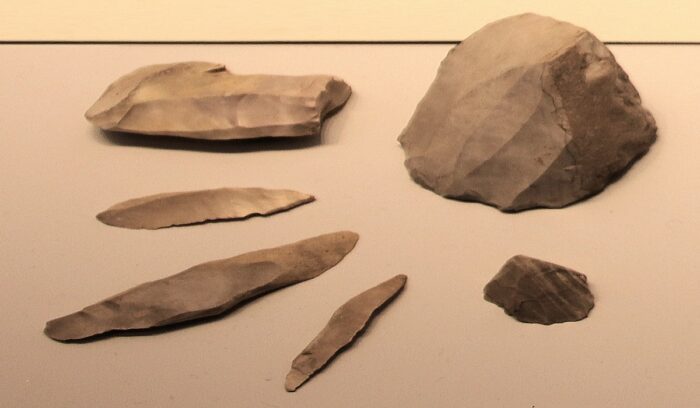 Close-up of small prehistoric flint blades arranged on a stone surface for an article about stone microliths