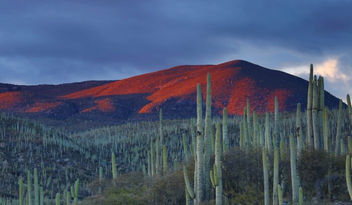 Mountains in Mexico, for article on Mexico protected areas