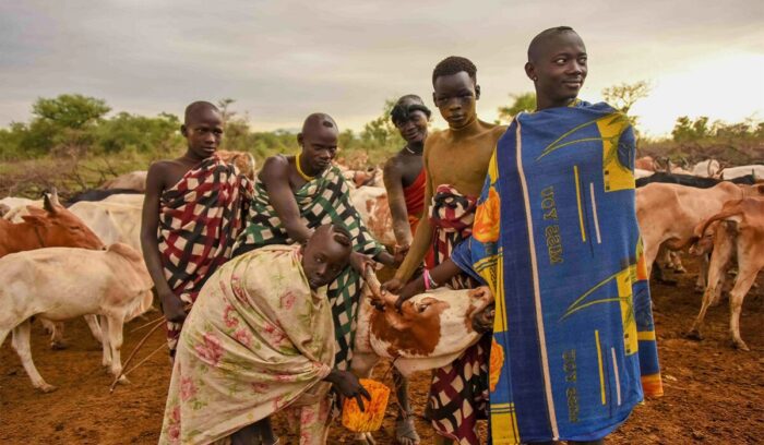 Mursi people with their cattle, for article on community conservation area