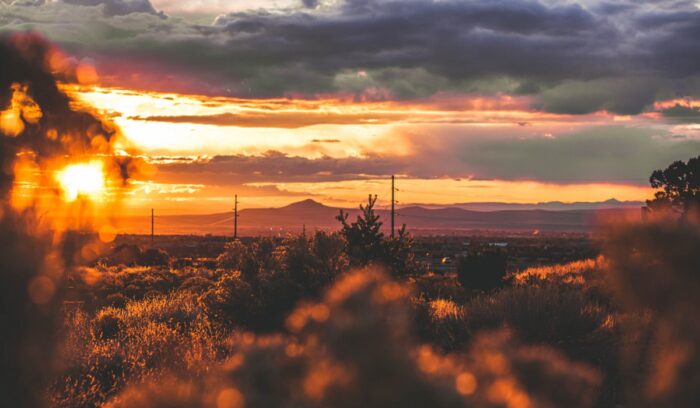 New Mexico landscape