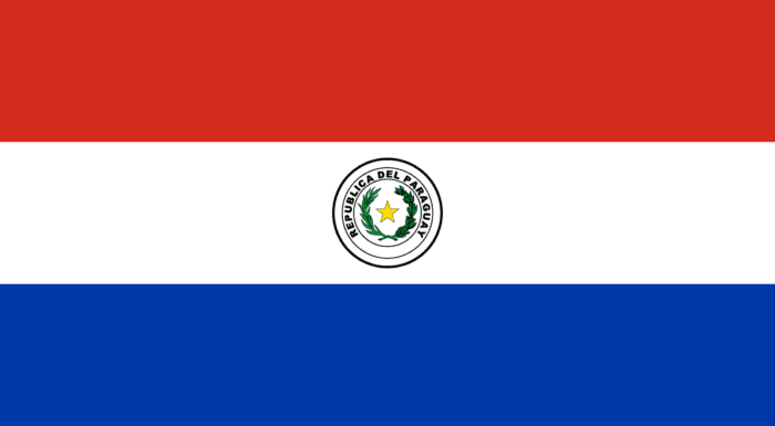 image for article on paraguay constitution 1992