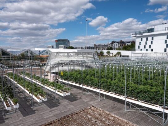 Paris rooftop garden