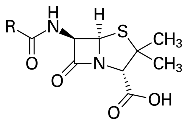 Penicillin core, for article on penicillin discovery