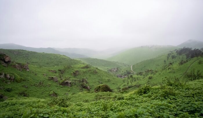 Peru fog oasis, for article on fog oasis ecosystem