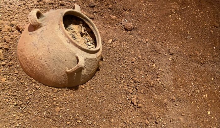 Pottery in the dirt, for article on Dolní Věstonice settlement