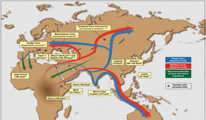 Putative migration waves out of Africa, for article on Eurasian steppe migration