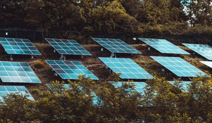 Solar panels amidst trees and bushes, for article on global wind and solar share