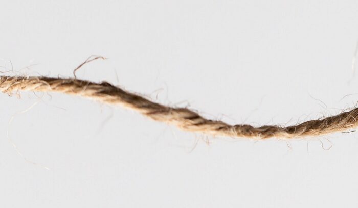 Close-up of twisted plant fiber cordage for an article about Neanderthal string