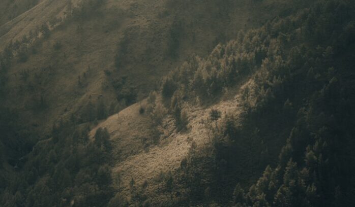 Sumatran hillside, for article on ancestral forest rights