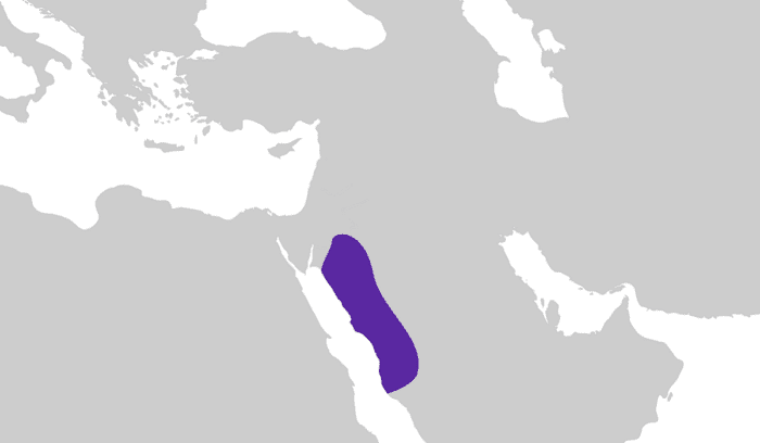 image for article on thamud arabian peninsula